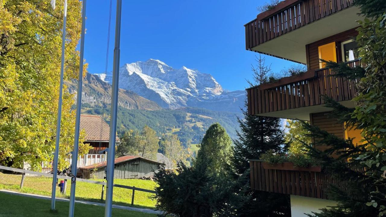 Hotel Bellevue - Traditional Swiss Hideaway Wengen Kültér fotó